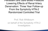 TCT-58. Persistent and Safe Blood Pressure Lowering Effects of Renal Artery Denervation: Three Year Follow-up From the Symplicity HTN-2 Trial