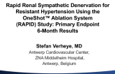 TCT-62. Preliminary Result of the Rapid Renal Sympathetic Denervation for Resistant Hypertension Using the Maya Medical OneShot™ Ablation System (RAPID) Study.