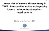 TCT-110. Lower risk of severe acute kidney injury in transcatheter aortic valve replacement: intracardiac echocardiography lowers radiocontrast medium requirements