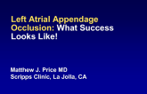 Left Atrial Appendage Occlusion: What Success Looks Like