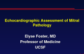 Echocardiographic Assessment of Mitral Pathology