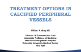 Treatment Options in Calcified Peripheral Vessels