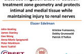TCT-122. Electrode irrigation alters RF ablation treatment zone geometry and preserves medial and adventitial tissue while maintaining injury to renal nerves