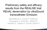 TCT-123. Preliminary safety and efficacy results from the REALISE trial: REnAL denervatIon by ultraSound transcatheter Emission