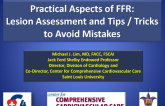 Practical Aspects of FFR: Lesion Assessment and Tips and Tricks to Avoid Mistakes