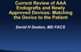Current Review of AAA Endografts and Newly Approved Devices: Matching the Device to the Patient