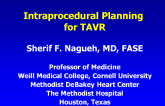 Echocardiographic Imaging Primer for TAVR II. Intraprocedural Planning