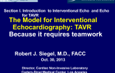 The Model for Interventional Echocardiography: TAVR