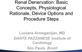Flash Lecture #1: Renal Denervation: Basic Concepts, Physiological Rationale, Device Options and Procedure Steps