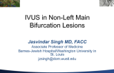 IVUS in Non-Left Main Bifurcation Lesions