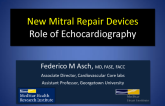 New Mitral Repair Devices: Implications for Echocardiographic Diagnosis and Guidance