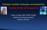 Chimneys, Snorkels, Periscopes, and Sandwiches: Parallel Grafts in Perspective