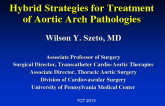 Hybrid Strategies for Treatment of Aortic Arch Pathologies