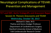 Neurological Complications of TEVAR: Prevention and Management