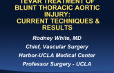 TEVAR Treatment of Blunt Thoracic Aortic Injury: Current Techniques and Results