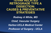 TEVAR-Related Retrograde Type A Dissection: Causes and Preventative Strategies