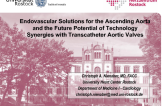 Endovascular Solutions for the Ascending Aorta and the Future Potential of Technology Synergies with Transcatheter Aortic Valves