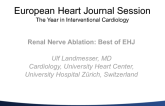 Renal Nerve Ablation: Best of EHJ