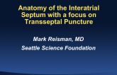Anatomy of the Interatrial Septum with a Focus on Transseptal Puncture