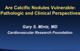Are Calcific Nodules Vulnerable? Pathologic and Clinical Perspectives