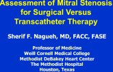 Assessment of Mitral Stenosis for Surgical vs. Transcatheter Therapy