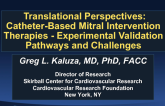 Translational Perspectives: Catheter-Based Mitral Intervention Therapies: Experimental Validation Pathways and Challenges