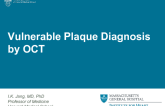 Vulnerable Plaque Diagnosis by OCT (with Case Vignettes)