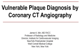 Vulnerable Plaque Diagnosis by MSCT (with Case Vignettes)