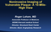 Noninvasive Imaging of Vulnerable Plaque: A 10-Mile-High View