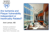 Are Ischemia and Plaque Vulnerability Independent or Inextricably Related?