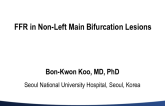 FFR in Non-Left Main Bifurcation Lesions