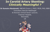 New Devices and Techniques in Carotid Stenting: Clinically Meaningful?