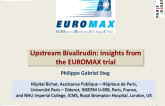 Upstream Bivalirudin: Insights from EuroMax