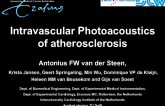 Intravascular Photoacoustics and Vasa Vasorum Imaging