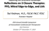 Exploring the Structural Landscape: Reflections on Three Important Closure Therapies (PFO, Mitral Edge-to-Edge, and LAA)