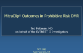 Prohibitive Risk DMR: Outcomes in the MitraClip registries