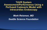 TAVR System Assessment/Performance Using a Perfused Cadaveric Aortic Stenotic Model with Intracardiac Endoscopy