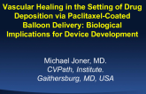 Vascular Healing in the Setting of Drug Deposition via Paclitaxel-Coated Balloon Delivery: Biological Implications for Device Development