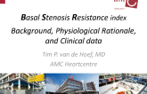 Basal Stenosis Resistance Index: Background, Physiologic Rationale, and Clinical Data