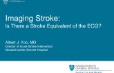 Imaging Stroke: Is There a Stroke Equivalent of the ECG?