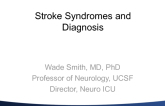 Stroke Syndromes and Diagnosis