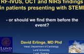 RF-IVUS, OCT, and NIRS Findings in Patients Presenting With STEMI