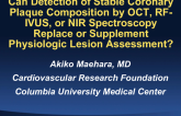 Can Detection of Stable Coronary Plaque Composition by OCT, RF-IVUS, or NIR Spectroscopy Replace or Supplement Physiologic Lesion Assessment?