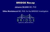 BRIDGE Recap