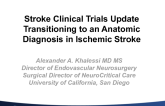 New Interventional Stroke Trials: THERAPY, POSITIVE, IMS4, and Others
