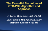 The Essential Technique of CTO Recanalization: Algorithm and Approach