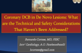 Coronary Drug-Coated Balloons in De Novo Lesions: What are the Technical and Safety Considerations That Haven't Been Addressed?