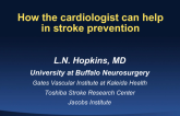 How the Cardiologist Can Help in Stroke Prevention
