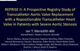 REPRISE II: A Prospective Registry Study of Transcatheter Aortic Valve Replacement with a Repositionable Transcatheter Heart Valve in Patients with Severe Aortic Stenosis