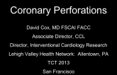 Coronary Perforation: Causes and Acute Management